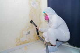 Best Biohazard Mold Removal  in Bald Kno, AR